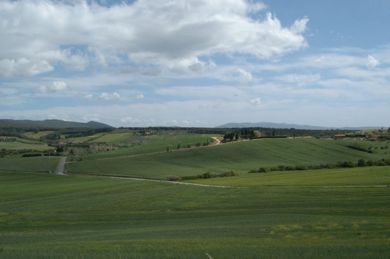 BIBBONA CAMPAGNA
